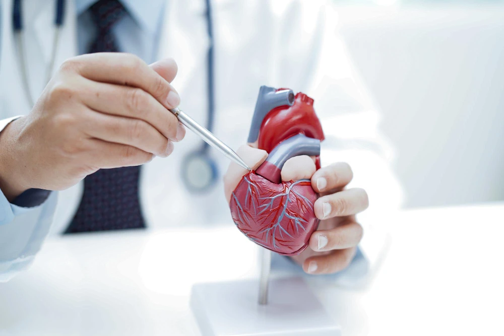 Bệnh mạch vành và Can thiệp mạch vành là gì?